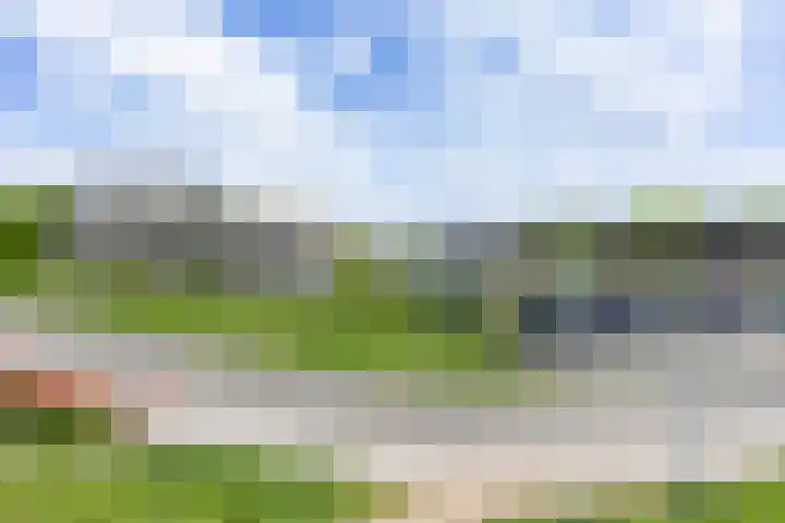 Laan van Zonnehoeve 70 Apeldoorn thumbnail 32
