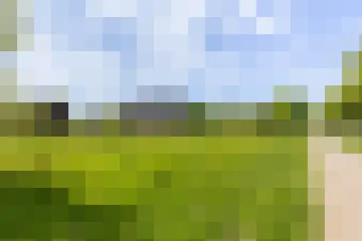 Laan van Zonnehoeve 70 Apeldoorn thumbnail 33