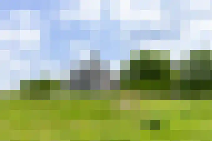 Laan van Zonnehoeve 70 Apeldoorn thumbnail 36
