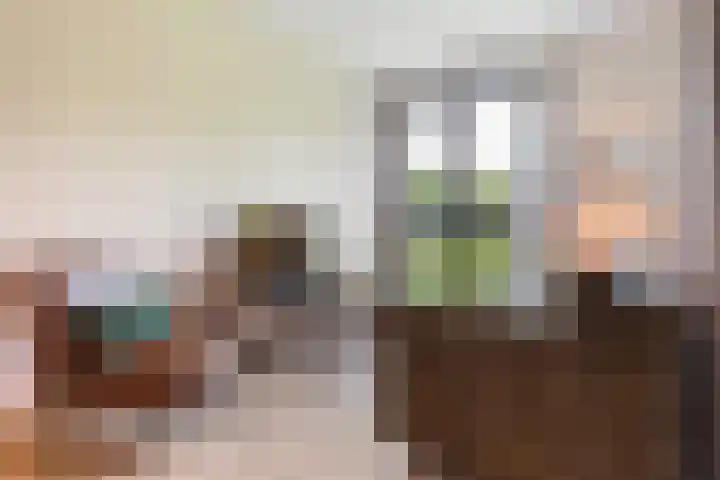 Laan van Zonnehoeve 70 Apeldoorn thumbnail 4
