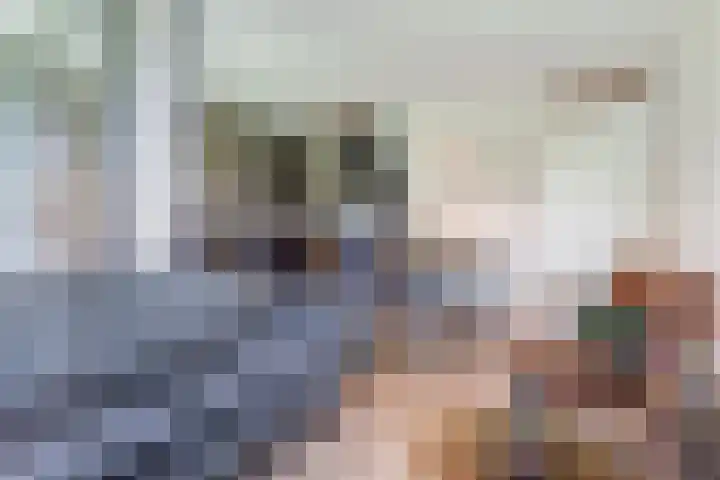 Laan van Zonnehoeve 70 Apeldoorn thumbnail 5