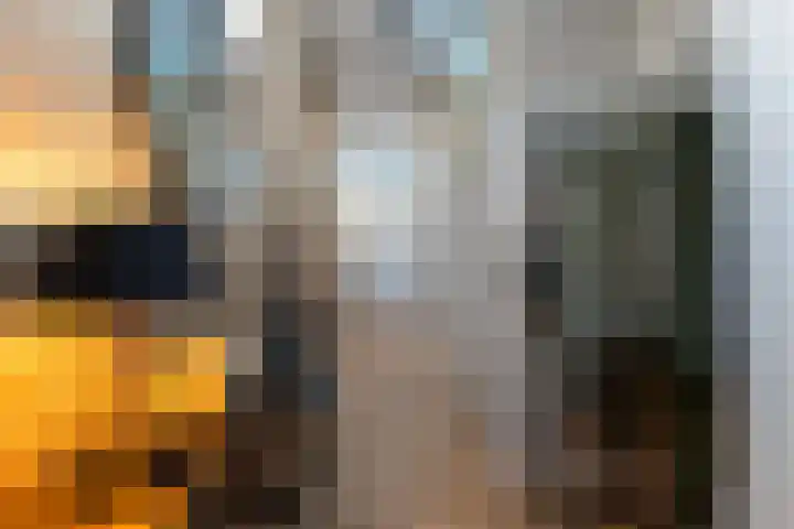 Laan van Zonnehoeve 78 Apeldoorn thumbnail 12