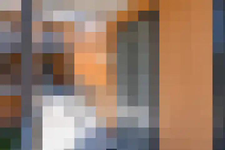 Laan van Zonnehoeve 78 Apeldoorn thumbnail 18