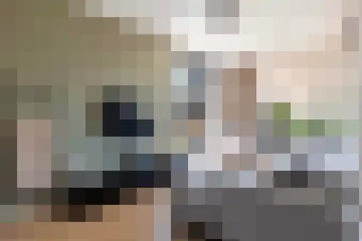 Laan van Zonnehoeve 78 Apeldoorn thumbnail 4
