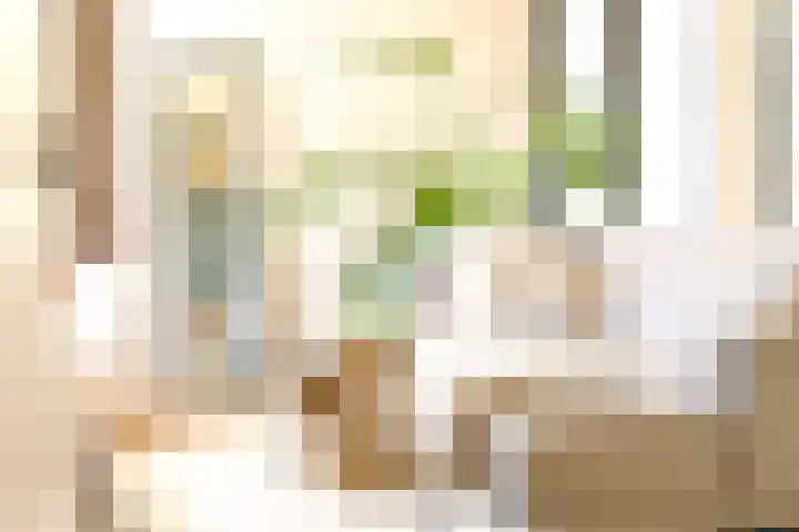 Laan van Zonnehoeve 78 Apeldoorn thumbnail 6
