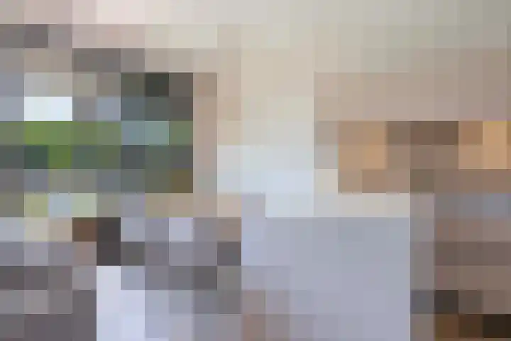 Laan van Zonnehoeve 78 Apeldoorn thumbnail 8