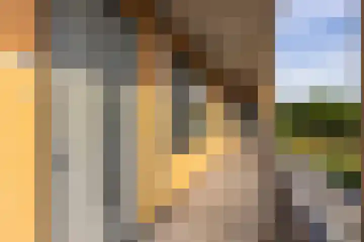 Laan van Zonnehoeve 94 Apeldoorn thumbnail 16