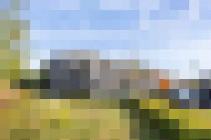 Laan van Zonnehoeve 94 Apeldoorn thumbnail 24