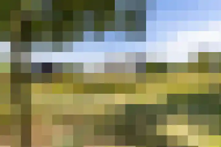 Laan van Zonnehoeve 94 Apeldoorn thumbnail 25
