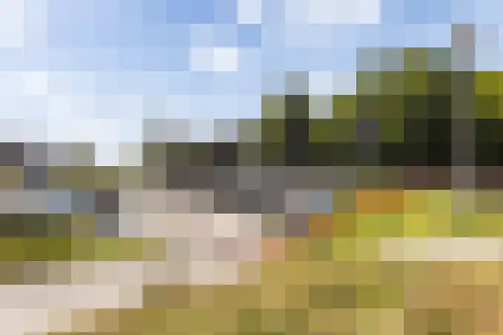 Laan van Zonnehoeve 94 Apeldoorn thumbnail 27