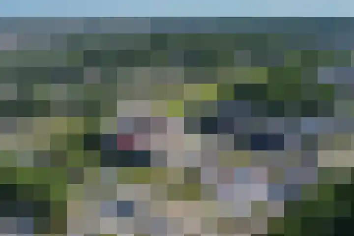 Laan van Zonnehoeve 94 Apeldoorn thumbnail 28