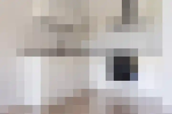 Laan van Zonnehoeve 94 Apeldoorn thumbnail 4