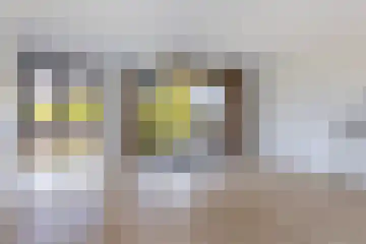 Laan van Zonnehoeve 94 Apeldoorn thumbnail 5