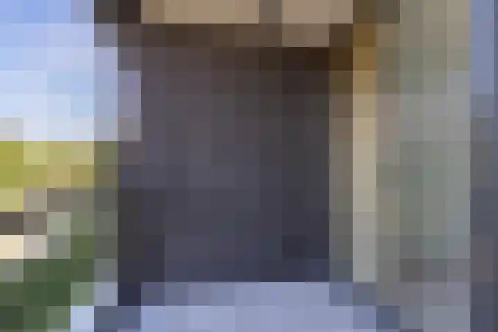 Laan van Zonnehoeve 94 Apeldoorn thumbnail 7