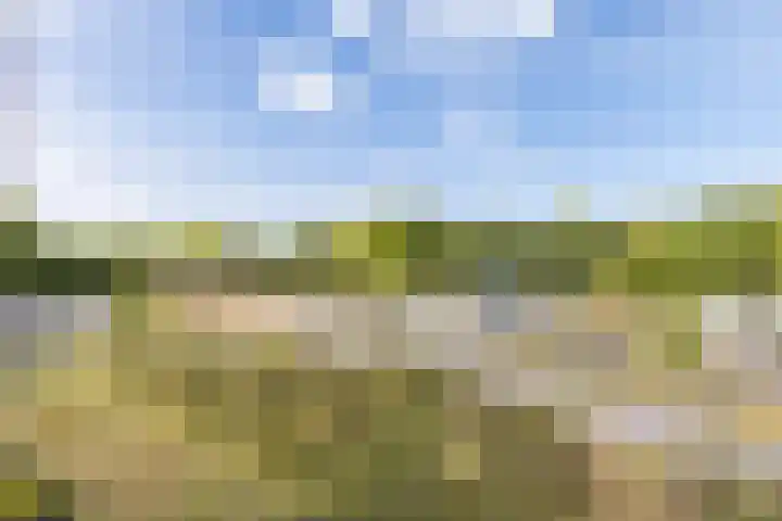Laan van Zonnehoeve 94 Apeldoorn thumbnail 8