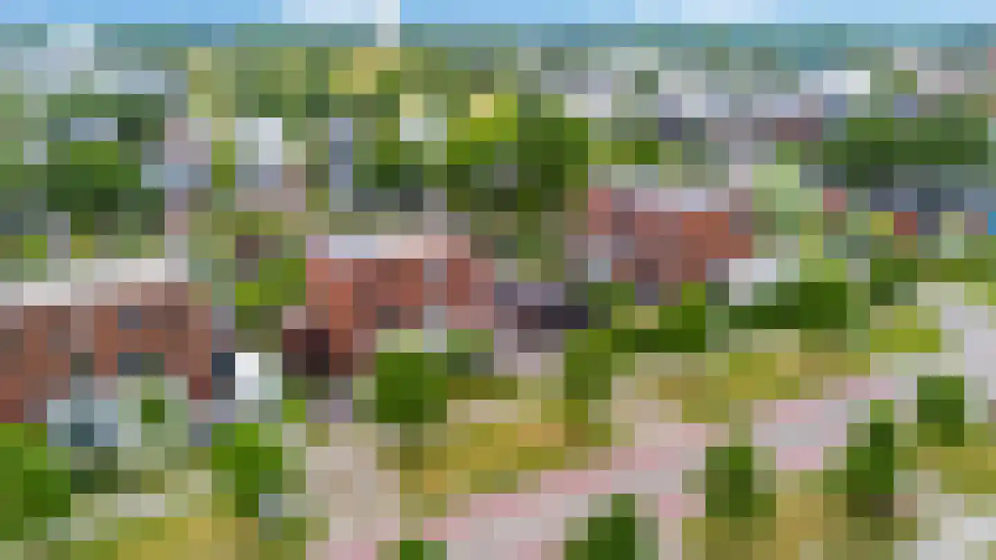 Laan van Zuidbroek 97 Apeldoorn thumbnail 37