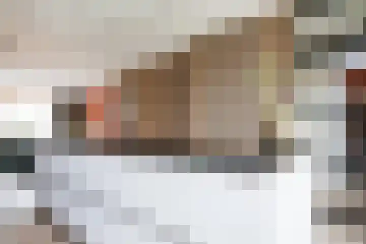 Laan van Zuiderhoeven 18 Hoofddorp thumbnail 12