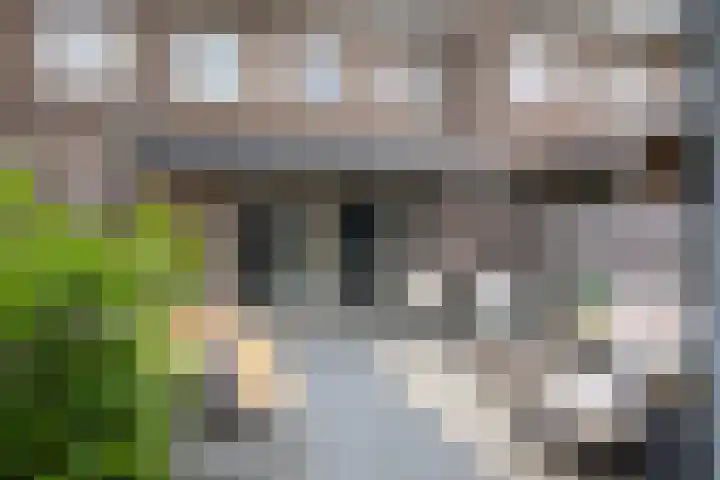 Laan van Zuiderhoeven 18 Hoofddorp thumbnail 36