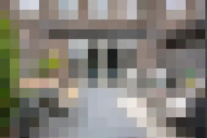 Laan van Zuiderhoeven 18 Hoofddorp thumbnail 37