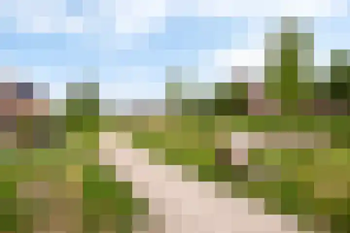Laan van Zuiderhoeven 18 Hoofddorp thumbnail 39