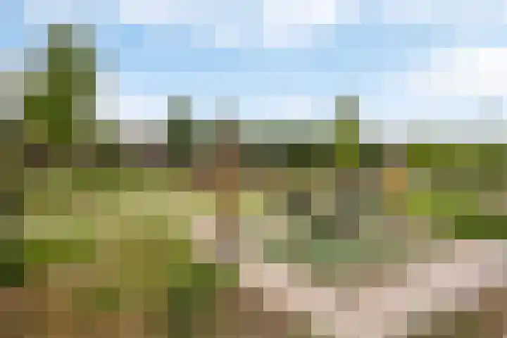 Laan van Zuiderhoeven 18 Hoofddorp thumbnail 40