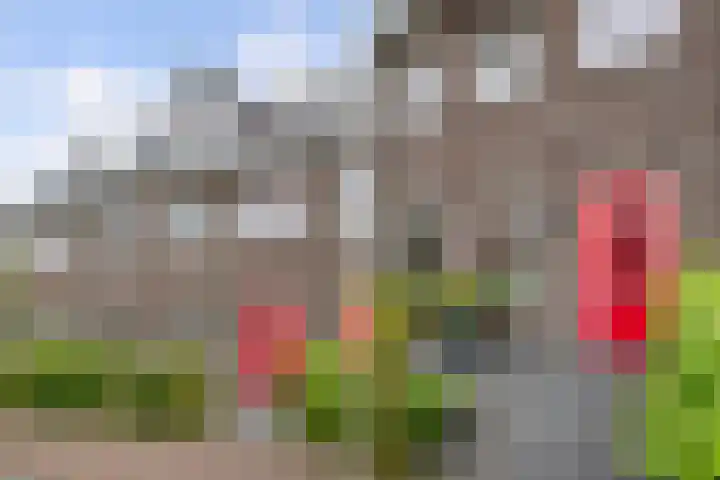 Laan van Zuiderhoeven 18 Hoofddorp thumbnail 7