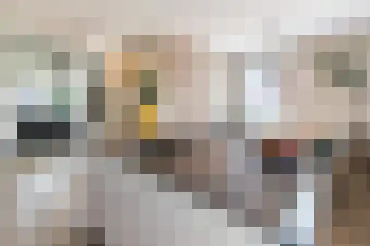 Laan van Zuiderhoeven 2 Hoofddorp thumbnail 16