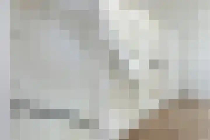 Laan van Zuiderhoeven 2 Hoofddorp thumbnail 18