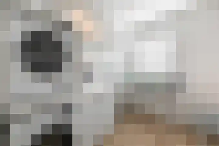 Laan van Zuiderhoeven 2 Hoofddorp thumbnail 23