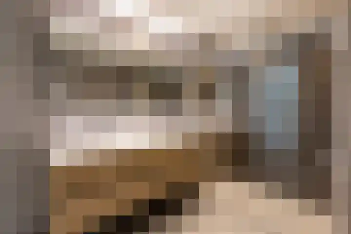 Laan van Zuiderhoeven 2 Hoofddorp thumbnail 25