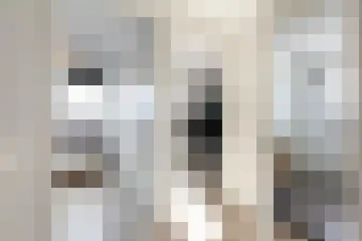 Laan van Zuiderhoeven 2 Hoofddorp thumbnail 30