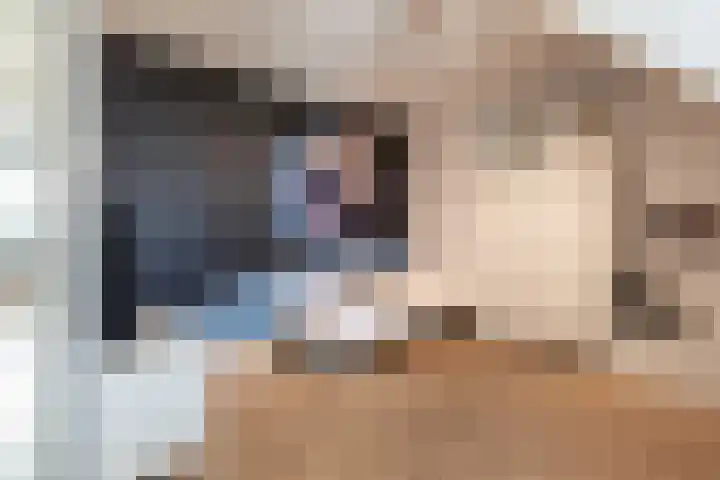 Laan van Zuiderhoeven 2 Hoofddorp thumbnail 35
