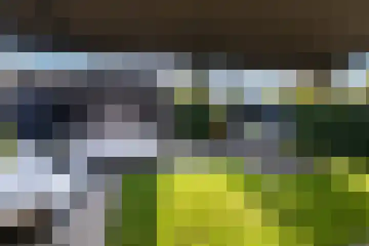 Laan van Zuiderhoeven 2 Hoofddorp thumbnail 38