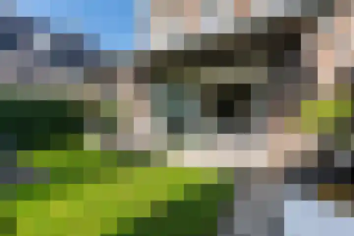 Laan van Zuiderhoeven 2 Hoofddorp thumbnail 39