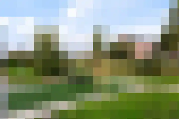 Laan van Zuiderhoeven 2 Hoofddorp thumbnail 45