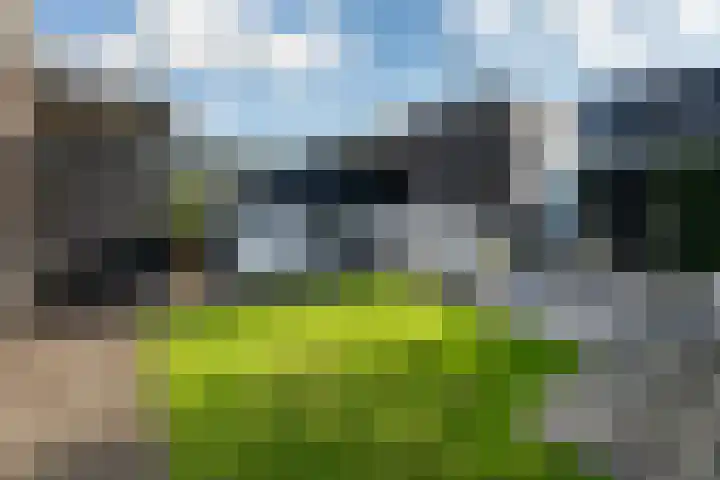 Laan van Zuiderhoeven 2 Hoofddorp thumbnail 5