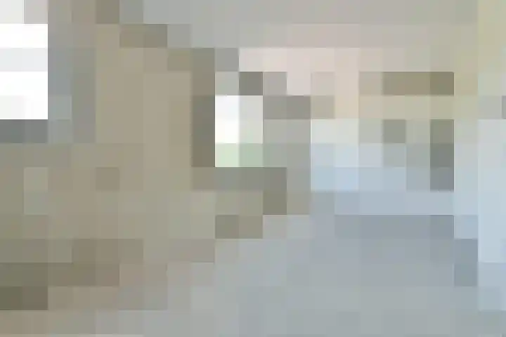 Laan van Zuiderhoeven 62 Hoofddorp thumbnail 26