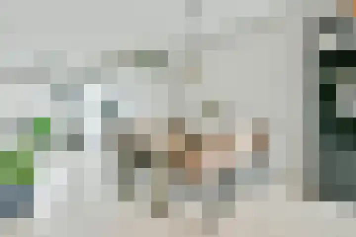 Laan van Zuiderhoeven 83 Hoofddorp thumbnail 12