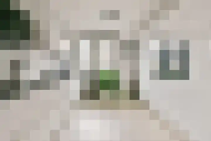 Laan van Zuiderhoeven 83 Hoofddorp thumbnail 13