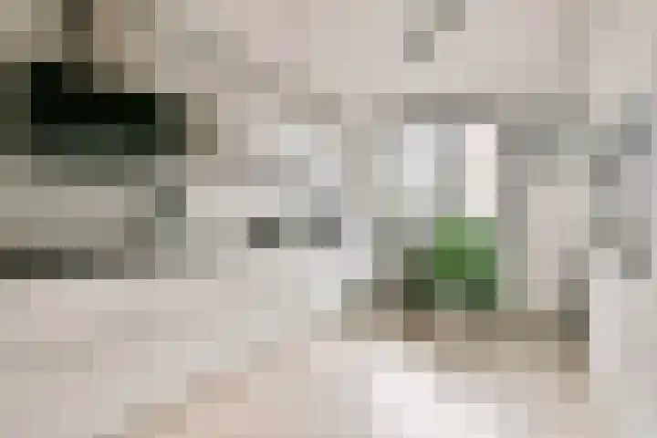 Laan van Zuiderhoeven 83 Hoofddorp thumbnail 14
