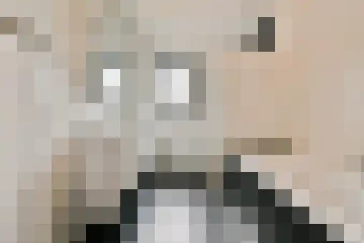 Laan van Zuiderhoeven 83 Hoofddorp thumbnail 30
