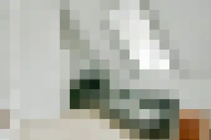Laan van Zuiderhoeven 83 Hoofddorp thumbnail 38