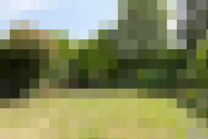 Laan van Zuilenveld 24 Oud Zuilen thumbnail 18