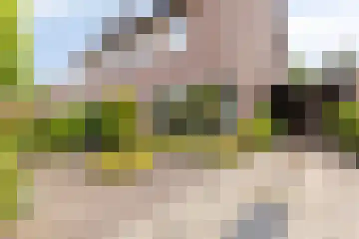 Laan van Zuilenveld 24 Oud Zuilen foto 2