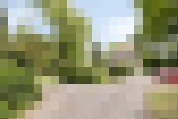 Laan van Zuilenveld 24 Oud Zuilen thumbnail 20