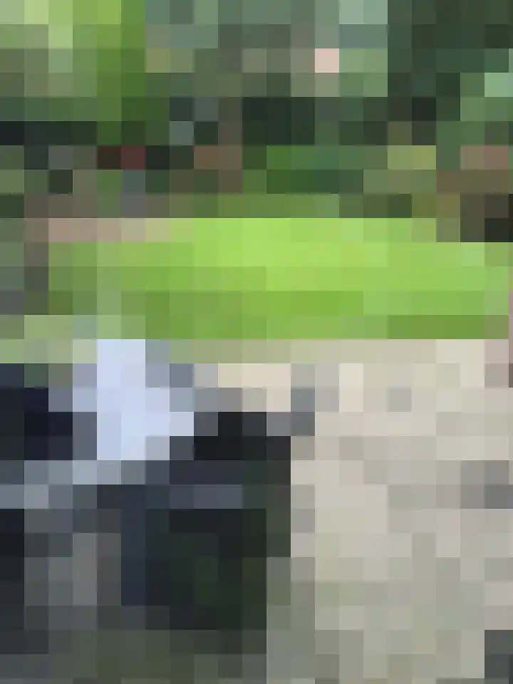 Laan van Zuilenveld 24 Oud Zuilen thumbnail 27