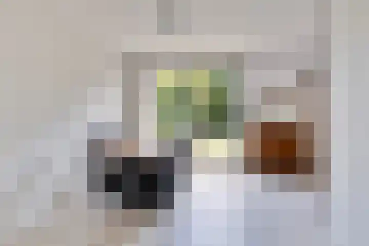 Laan van Zuilenveld 24 Oud Zuilen thumbnail 6