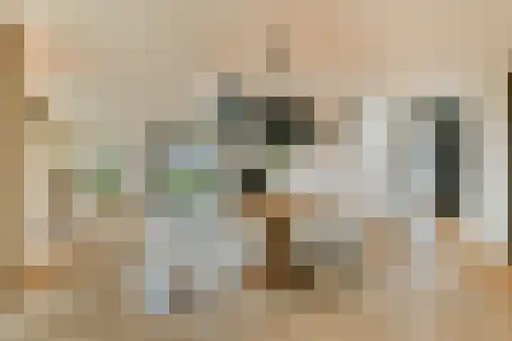 Laan van Zwethof 12 Zoeterwoude thumbnail 10