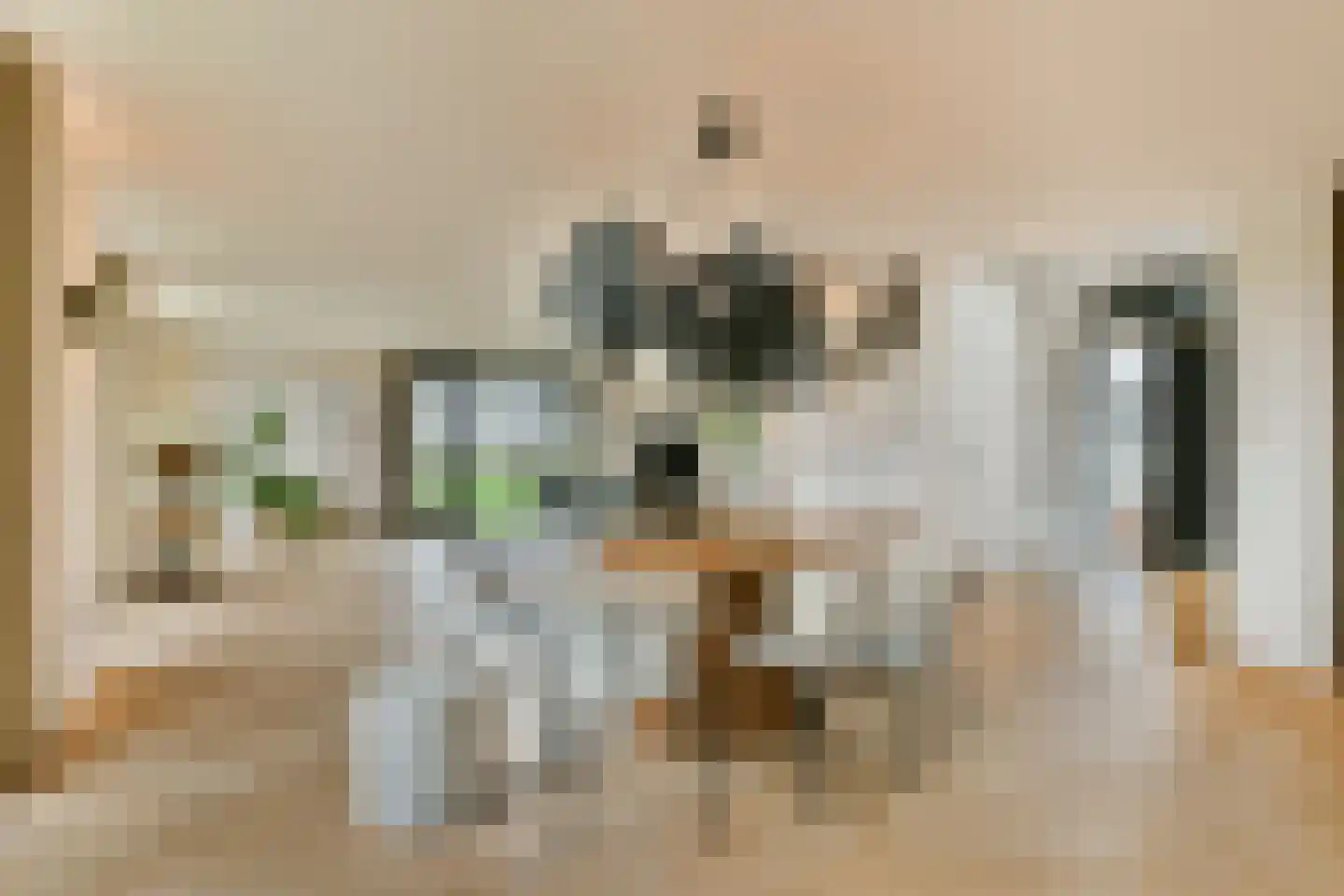 Laan van Zwethof 12 Zoeterwoude thumbnail 10