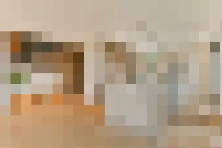 Laan van Zwethof 12 Zoeterwoude thumbnail 11